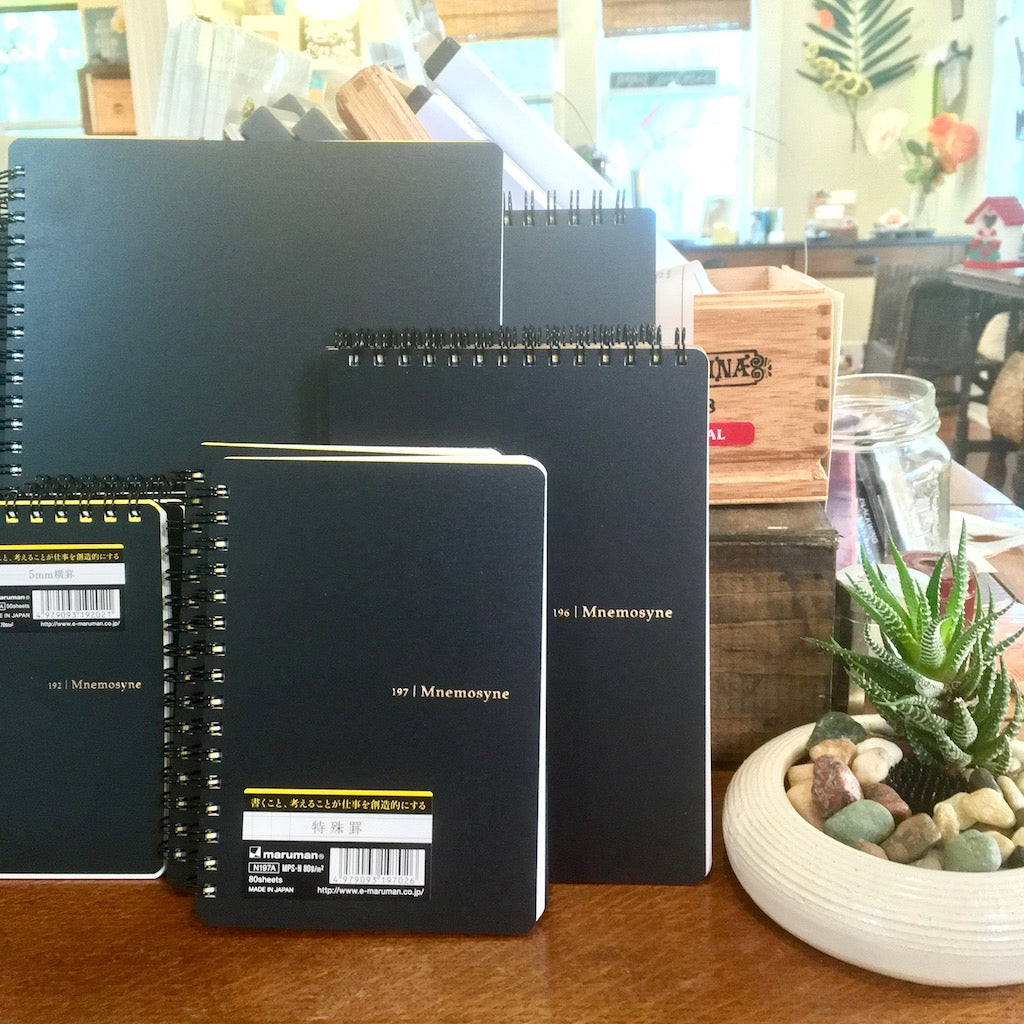Note Taking, Sketching, Scheduling - There’s a Mnemosyne Notebook for Everything