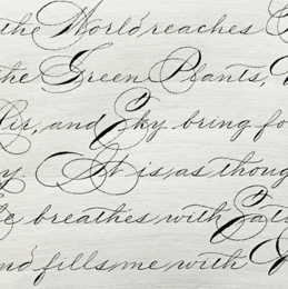 The Story of Spencerian Script - The Paper Seahorse